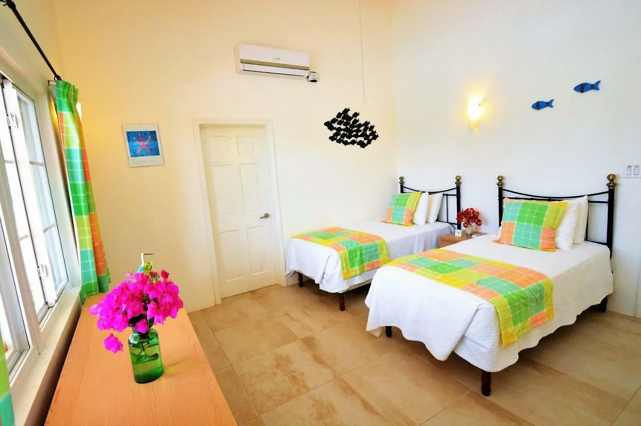 Villa Cactus House Vila Jolly Harbour