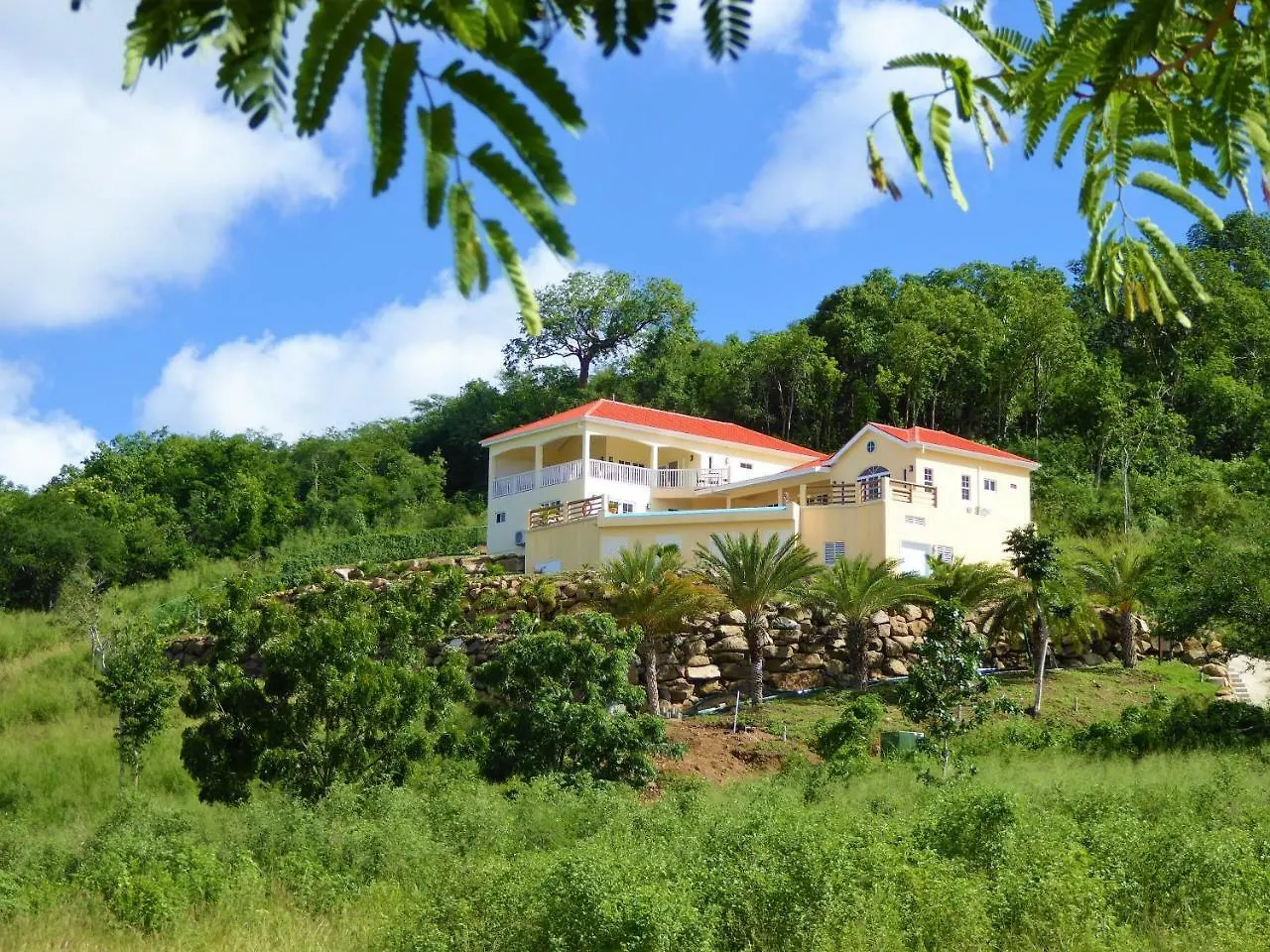 Cactus House Villa Jolly Harbour